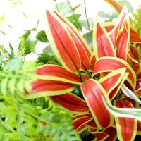 uploads/erp/collection/images/Home Garden/CongDing/XU0610617/img_b/XU0610617_img_b_2